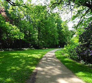 Frühlingsspaziergang durch das Eversten Holz