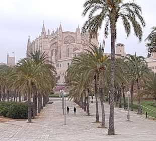 Kathedrale La Seu