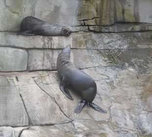 Stänkere nicht, hier sitze ich