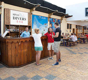 Die Sinai Divers Deko Bar