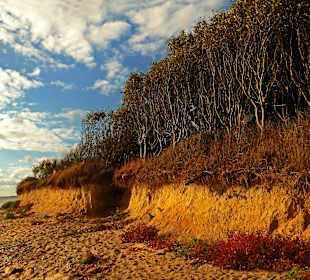 "Sunset-Boulevard" Dranske