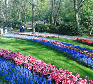 Keukenhof