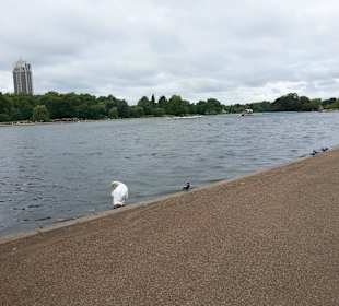 Hyde Park