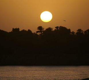 Sonnenuntergang auf dem Nil