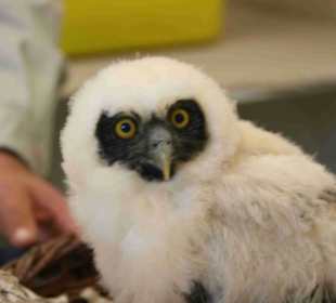 Vogelpark Walsrode