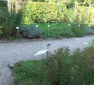 Botanischer Garten München