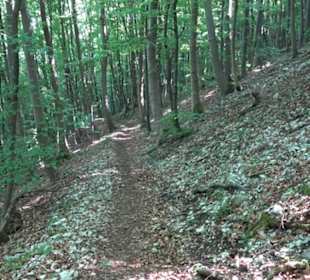 Premiumwanderweg "hochgelegen"