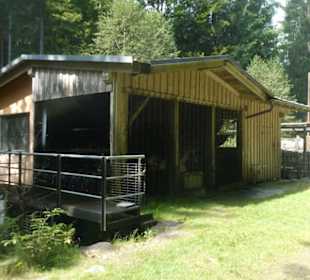Wunderbare Wanderung am Großen Regen
