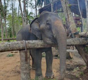 Stadtrundgang Pakweep Beach