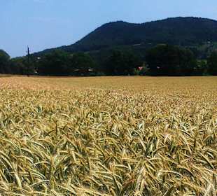 Letzter KM nach Tieschen