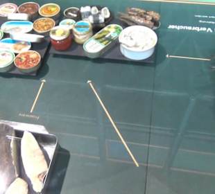 Meeresmuseum Stralsund