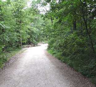 Burgruine Hohenneuffen