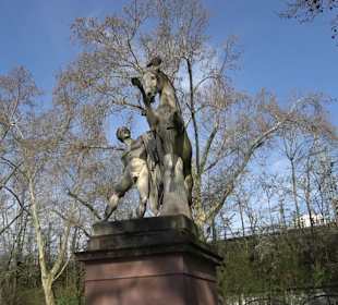 Historische Platanenallee im Unteren Schloßgarten
