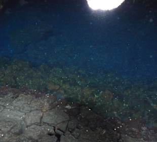  Jameos del Agua Cesar Manrique