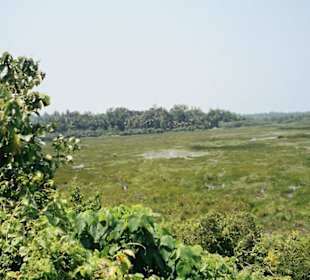 Ausblick von der Zimtplantage