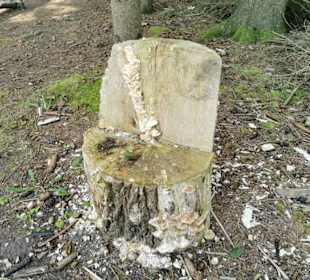 Wsg71 - geschnitzter Ruheplatz