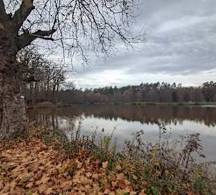 Naherholungsgebiet Jägersburg in Homburg