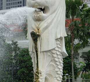 Der Merlion
