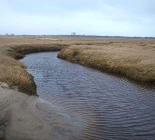 Priel