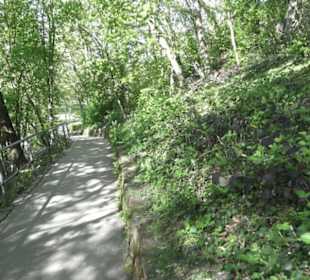Gartenschau