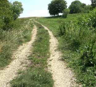 Wanderrunde Emeringen zum Rechtenstein