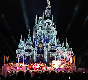 Walt Disney World