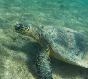 Hausriff Makadi Palace