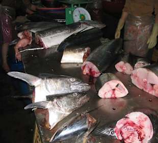 Frischer Fisch