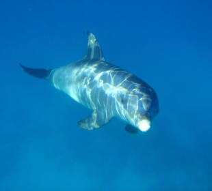 Bild vom Card Partner