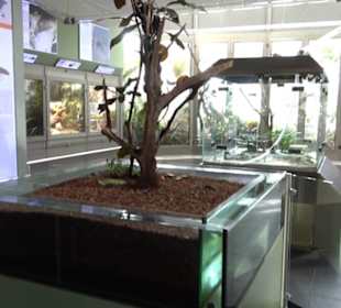 Aquarium