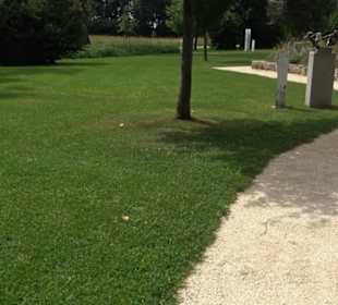 Blühendes Neresheim 2021