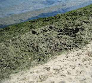 Der Strand 1 bis 2 km weiter