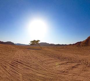 Quad Tour Marsa Alam