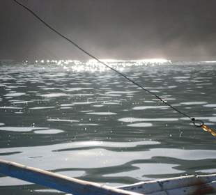 Im Gegenlicht dampft der Naturpark Strand