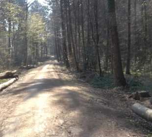 Wanderung Florianrunde