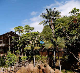Dschungelpark