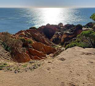 Seven Hanging Valleys Trail 