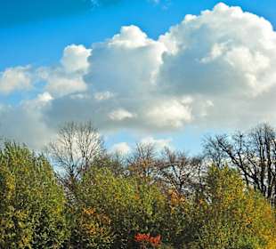 Парк Замка Ойтин.Золотая осень.