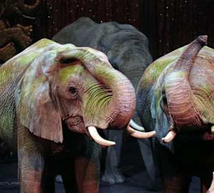 Europapark im Winter