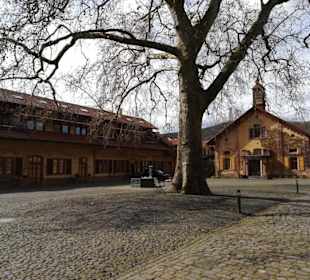Weingut Villa Wolf