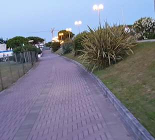 Die Radwege in Bibione