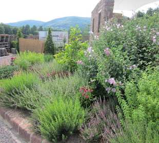 Kloster Heilsbruck Kräutergarten