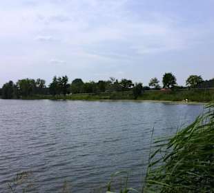 Andere Seite vom Hundestrand