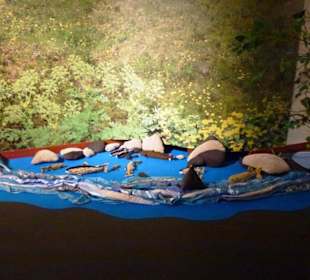 Fische zum Angeln (im Kindermuseum)