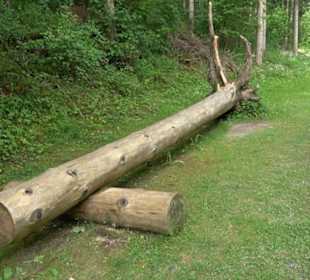 Phäno-Pfad Aichstetten