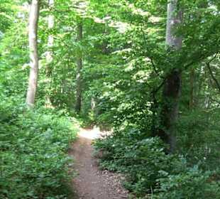 Premiumwanderweg "hochgelegen"