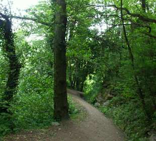 Landschafts-Impressionen 