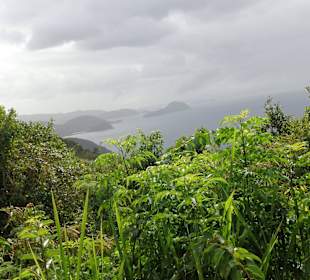 Blick vom Aussichtspunkt