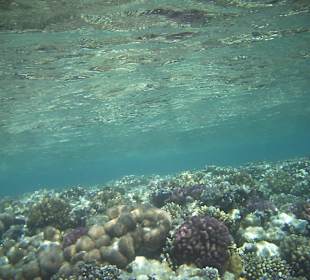 Sharm el Naga