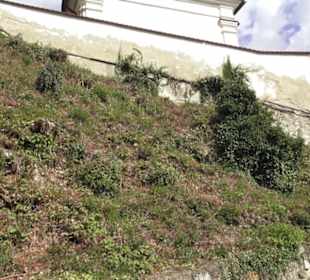 Burgruine Rechtenstein